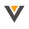 Vester logo simplified